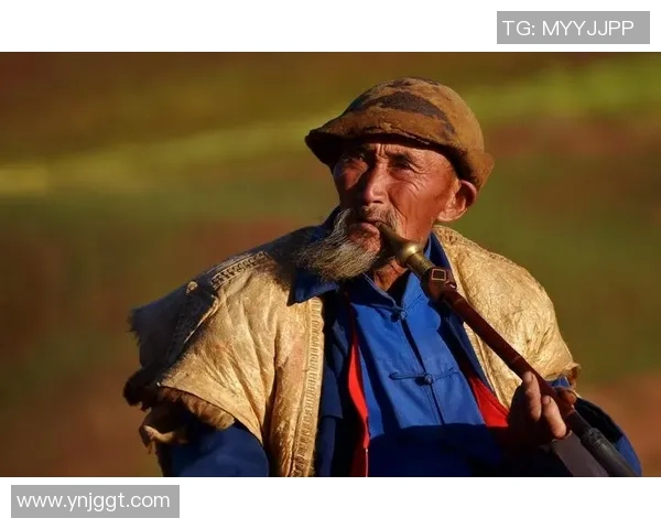 中国彝族体育明星排行榜揭晓彝族运动员的辉煌成就与影响力分析