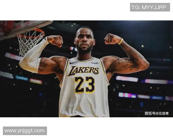 篮球明星大全玩具带你领略球场传奇体验尽享明星魅力与运动乐趣